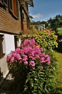 Haus mit Blumen; geschindelt